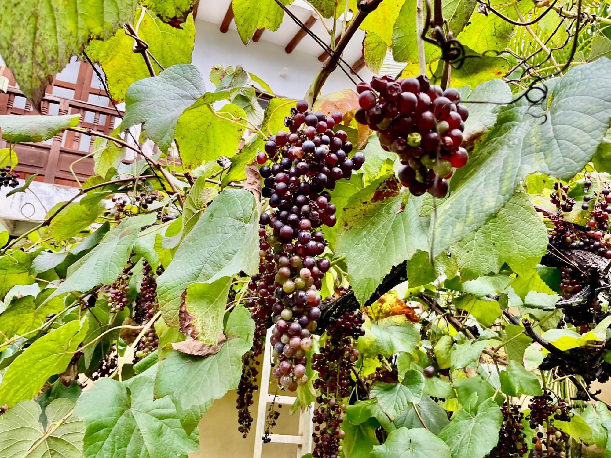 Casona El Retiro Barichara Daire Dış mekan fotoğraf